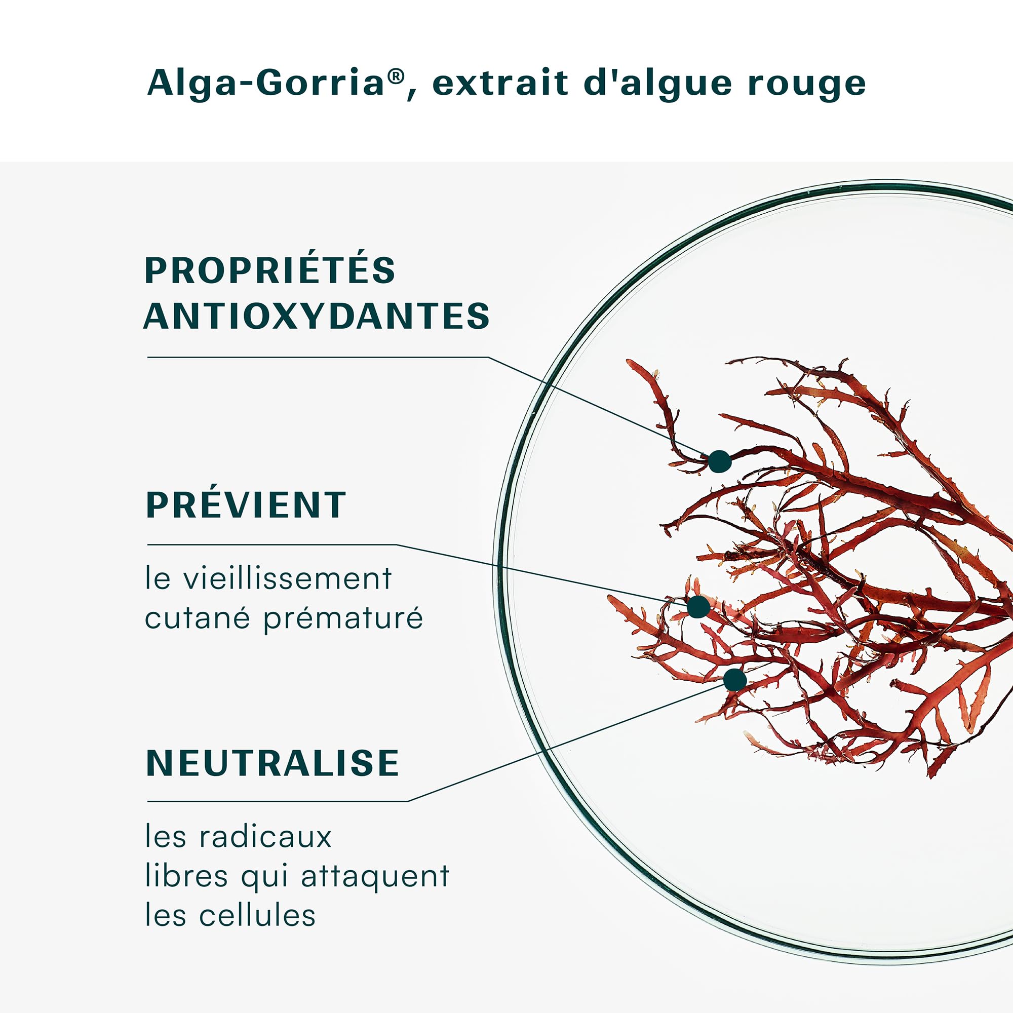 Laboratoires de Biarritz Gouttes Autobronzantes Certifiées Bio 20 ml | Visage et Corps, Teint Hâlé et Sur-Mesure, Certifiées Bio, Fabriquées en France