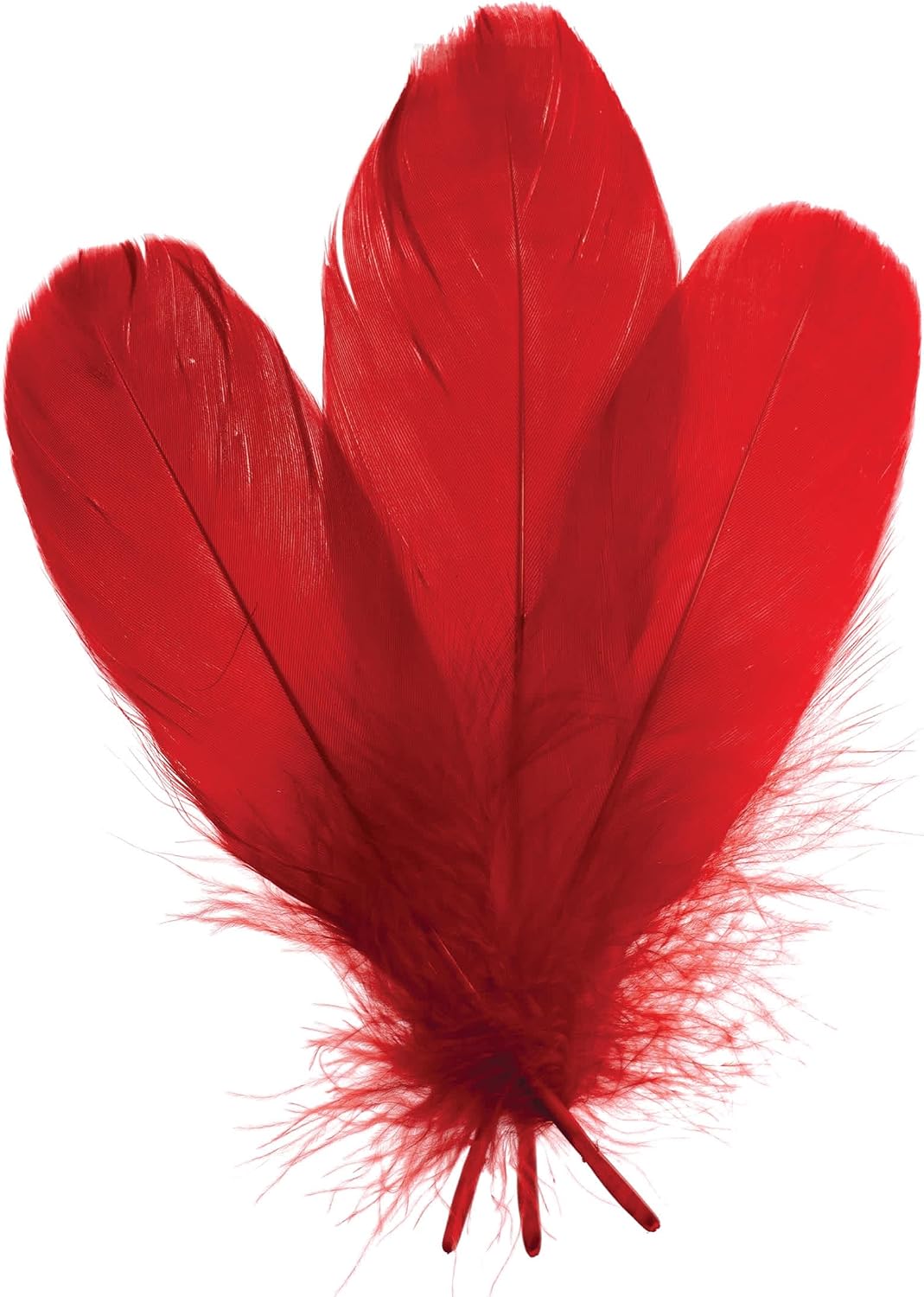 John Bead Goose Feathers 5-7in Red, (3 Headers x 6g ea)