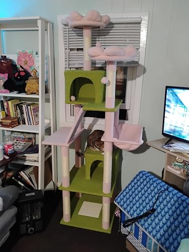 Review Image by Amazon Customer