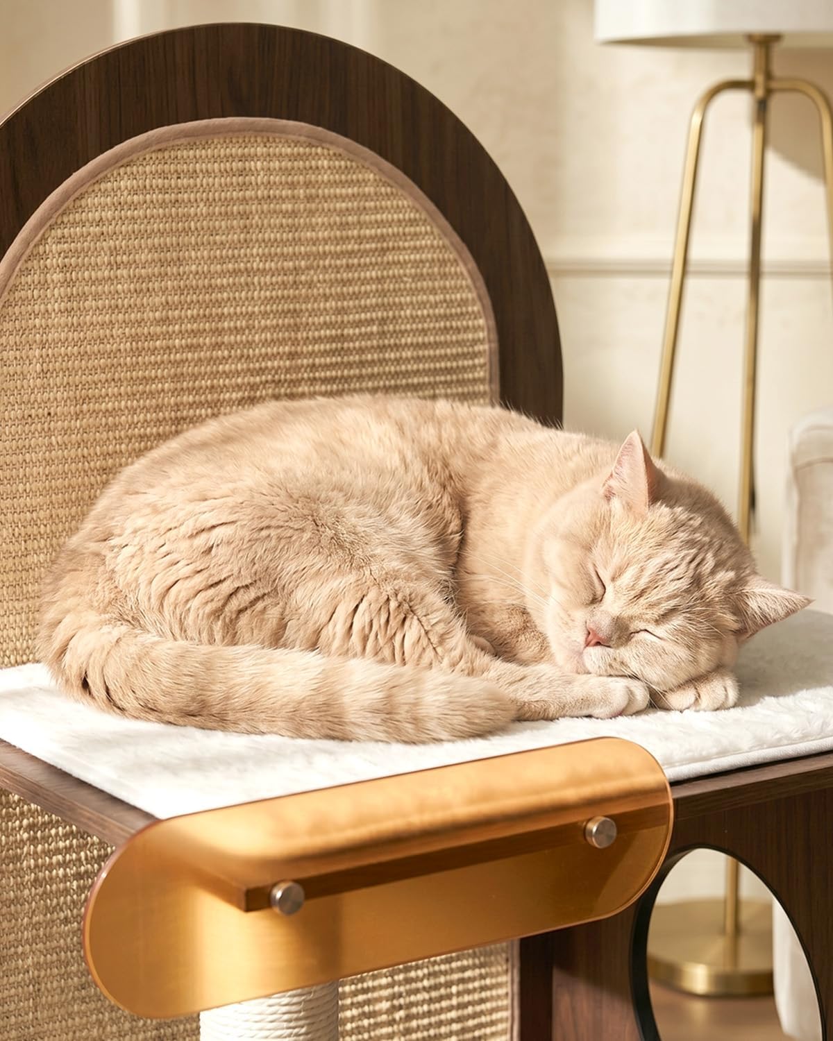 47" Solid Wood Cat Tree, Modern Cat Tower for Large Cats, Walnut | Wooden Cat Tree, Furniture Tower with Large Platform, Washable Cushion, Modern Cat Furniture, Cozy Cat Condo, Scratching Post