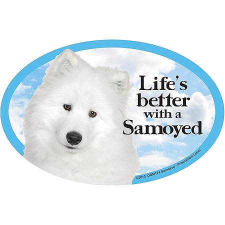 samoyed items
