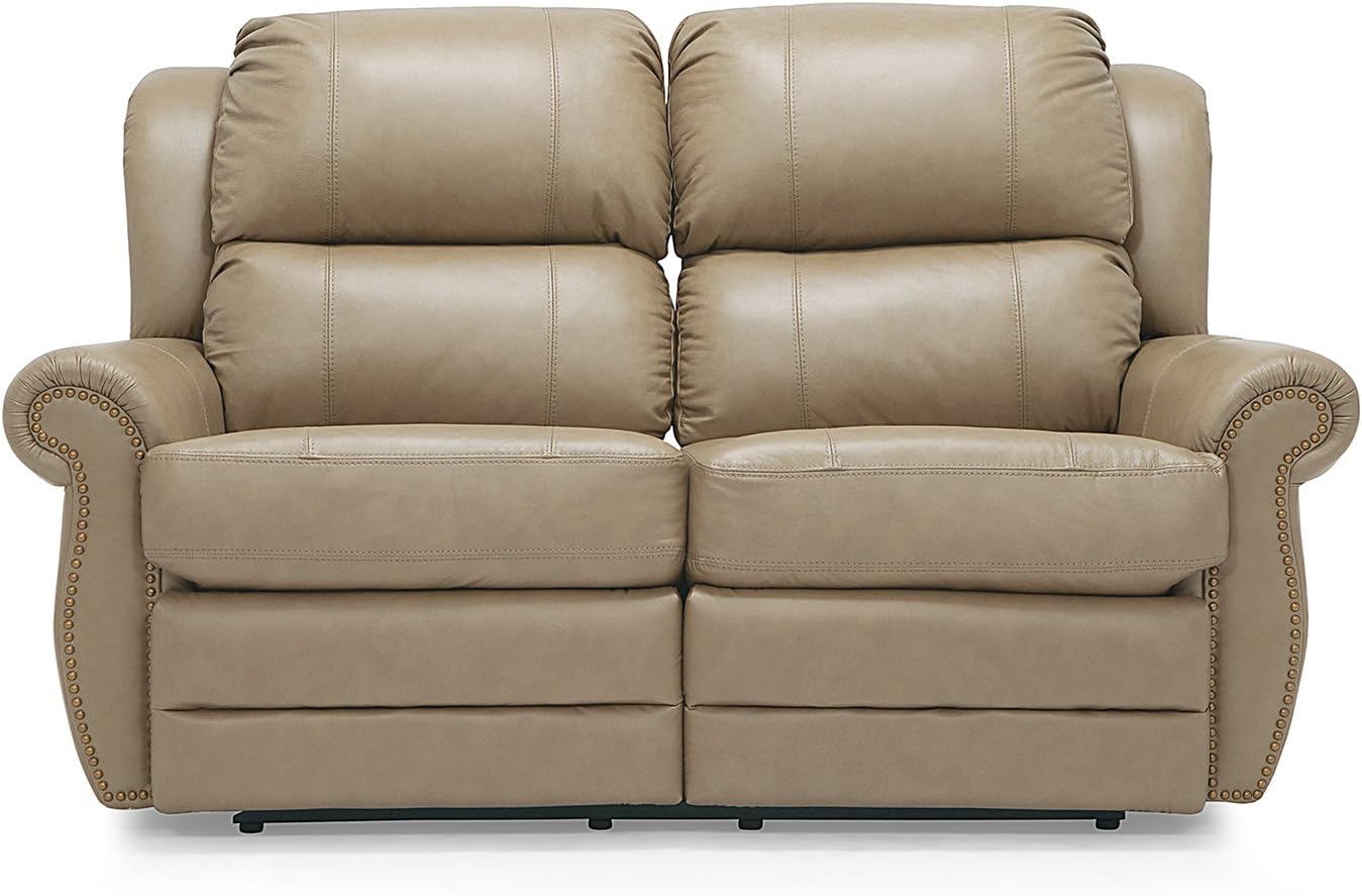 Michigan 40014 Loveseat Recliner, Classic Sandstone