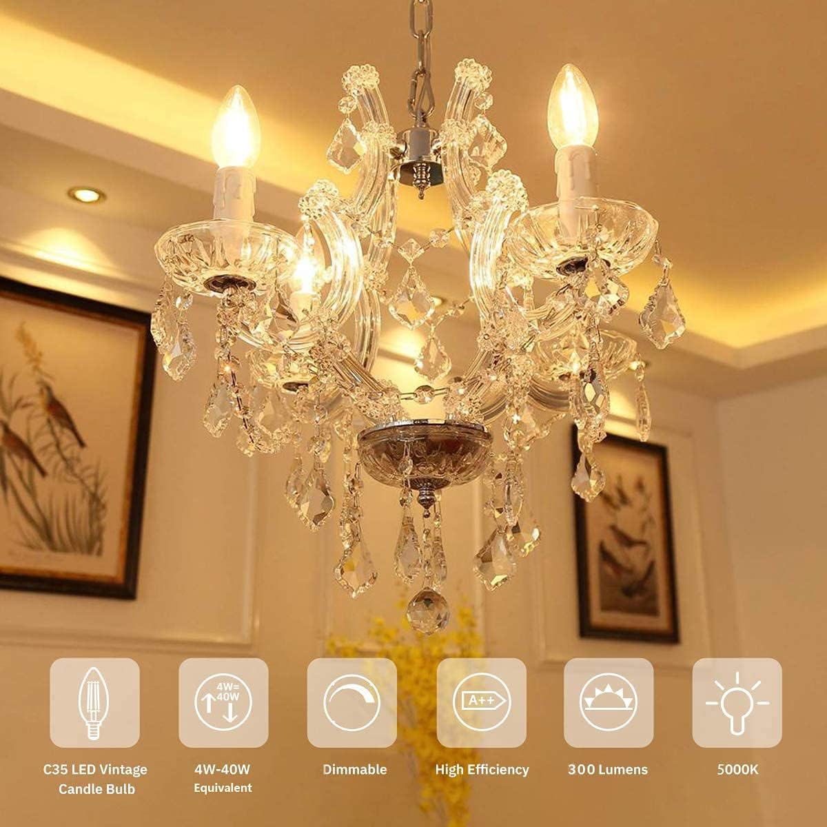 Raheem E14 LED Bulb, Dimmable, 110v 300 Lumens 5000k 40w Equivalent, Best Replacement for Halogen and Incandescent Bulb, Candelabra LED Bulbs, 10 Pack (Daylight White)
