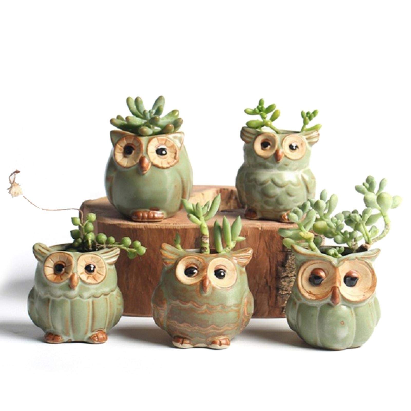 GeLive Fioriera a forma di gufo, in ceramica, per piante grasse, divertente, decorazione da tavolo, davanzale, con foro di drenaggio