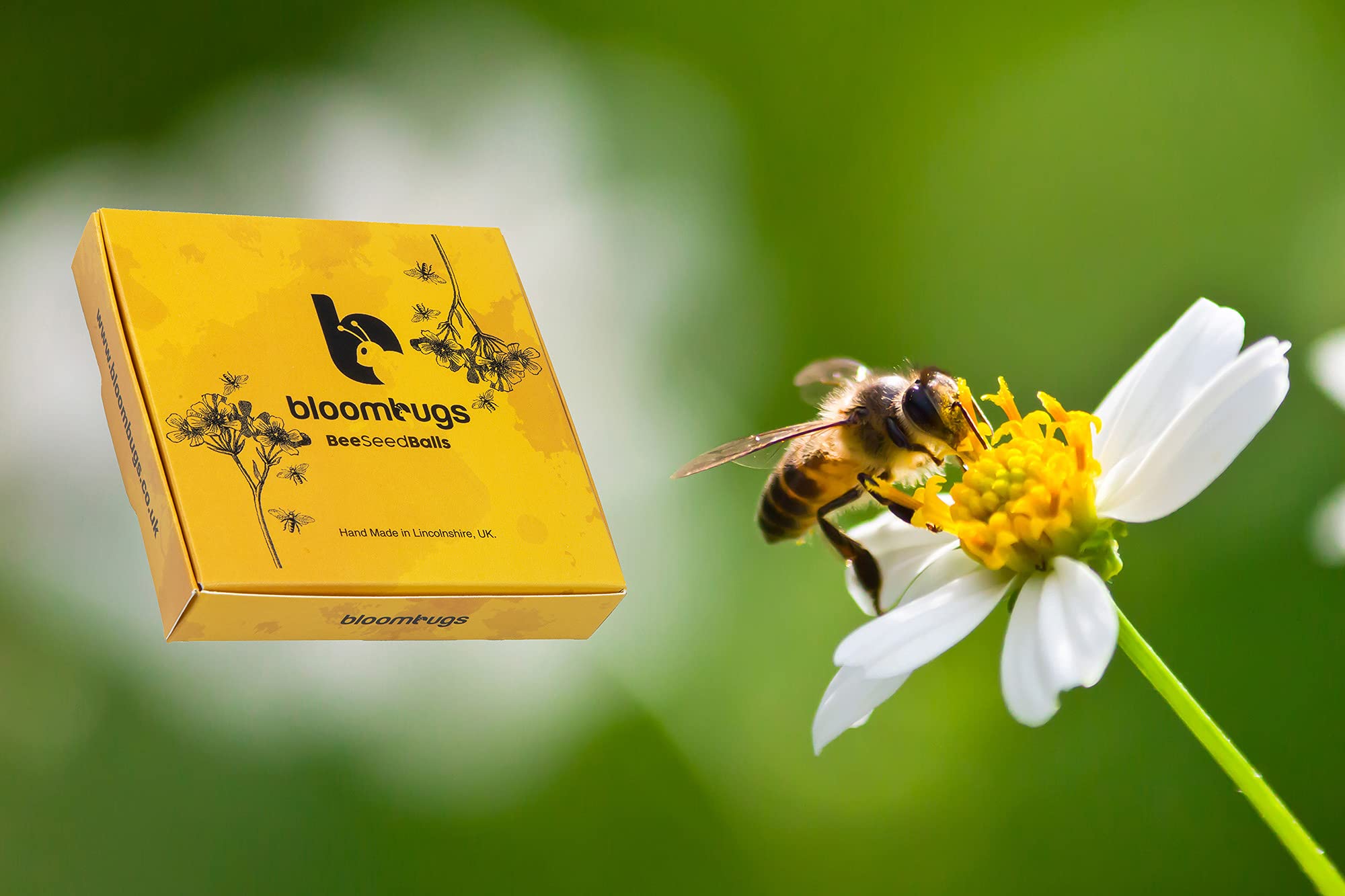 Buy Native Wildflower Bee and Butterfly Seed Bombs 26 Native