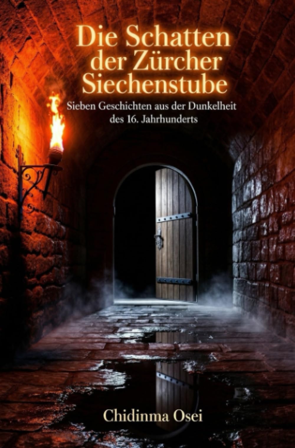 Die Schatten der Zürcher Siechenstube: Sieben Geschichten aus der Dunkelheit des 16. Jahrhunderts