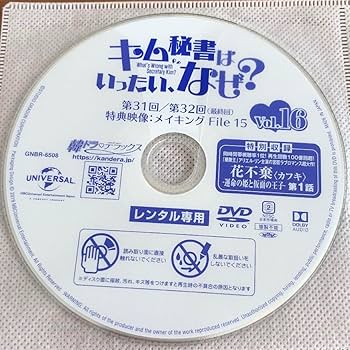 Amazon.co.jp: キム秘書はいったい、なぜ? DVD 全16巻 全巻