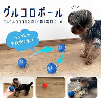 ボーリングボール　トイプードル　ドッグ ボーリングボールトイプードルドッグ