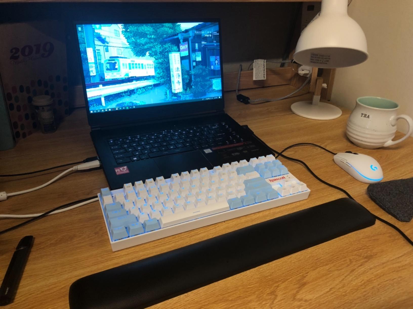 Good Gaming and Lifestyle Laptop!