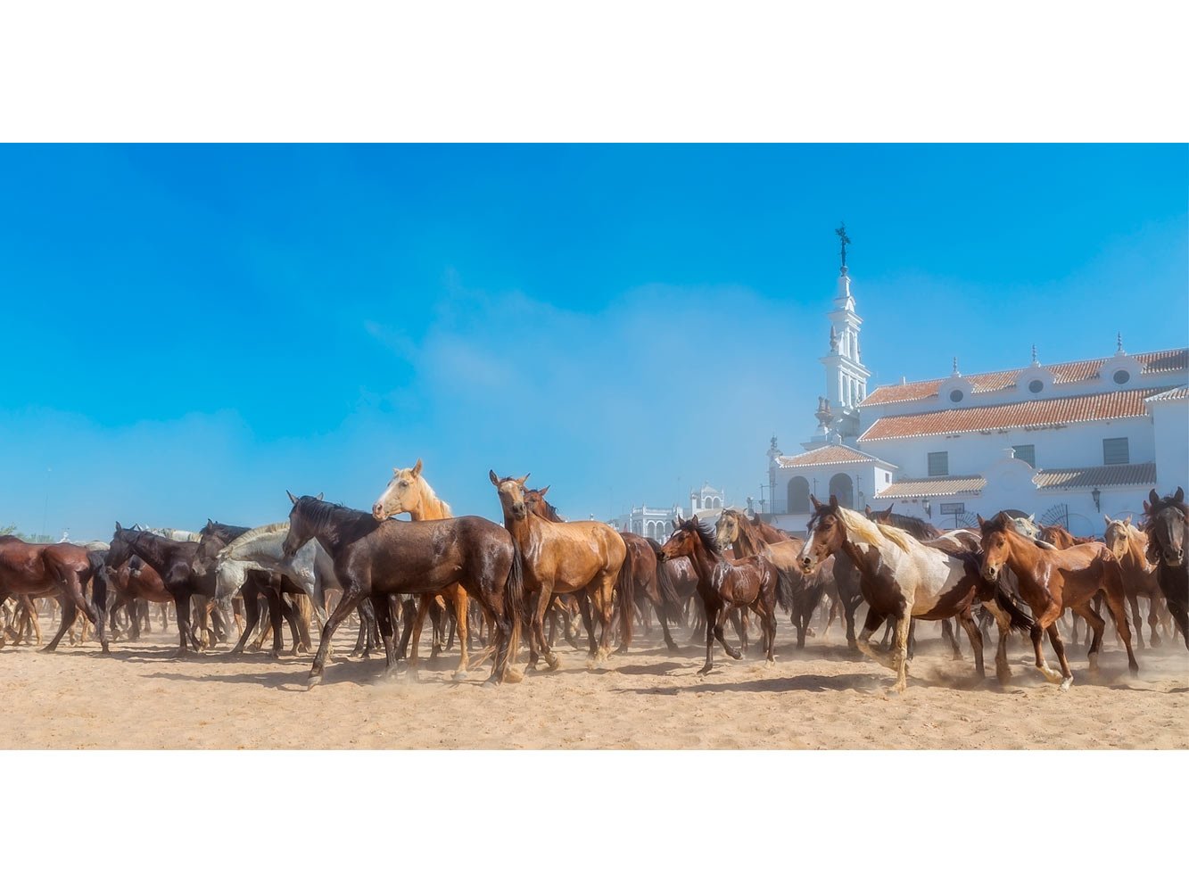 Oedim Tableau Carton Plume et Pegasus Chevaux doñana du Rocio | Tableau pour Mur | Carton Plume Mural décoratif | | Kappa | Plusieurs Tailles | Décoration comedores, sallon, Chambre. 200x98cm
