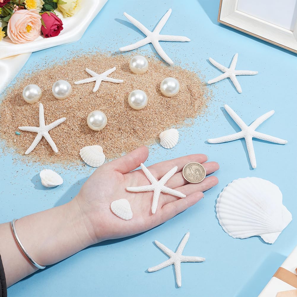 Nbeads 25 Pz di Stelle Marine Grandi e Conchiglie di Capesante, Conchiglie di Mare con 10 pz di Perle Acriliche Imitate per Decorazioni Natalizie, Feste in Spiaggia, Matrimoni Artigianato Fai Da Te
