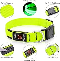 Vista 3 de Illumifun Collar LED para perro, collar de perro con luz, recargable que brilla en la oscuridad, collar de seguridad para perro, con luces para Verde