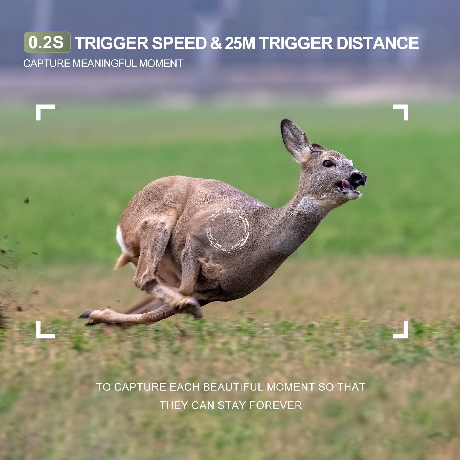 DEATTI Wildcamera met mobiele telefoontransmissie-app, 4K 48MP HD WLAN Bluetooth wildcamera met bewegingsmelder, nachtzicht, 120 ° groothoek, IP66 waterdicht, 32 GB SD-kaart en 8 x AA-batterijen