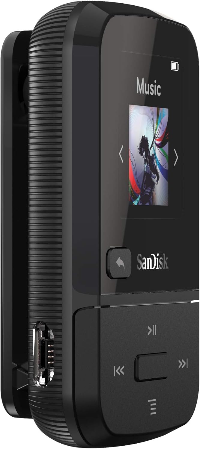 SanDisk 32GB Clip Sport Go MP3 Player, Blue - LED Screen and FM Radio - SDMX30-032G-G46B : Everything Else