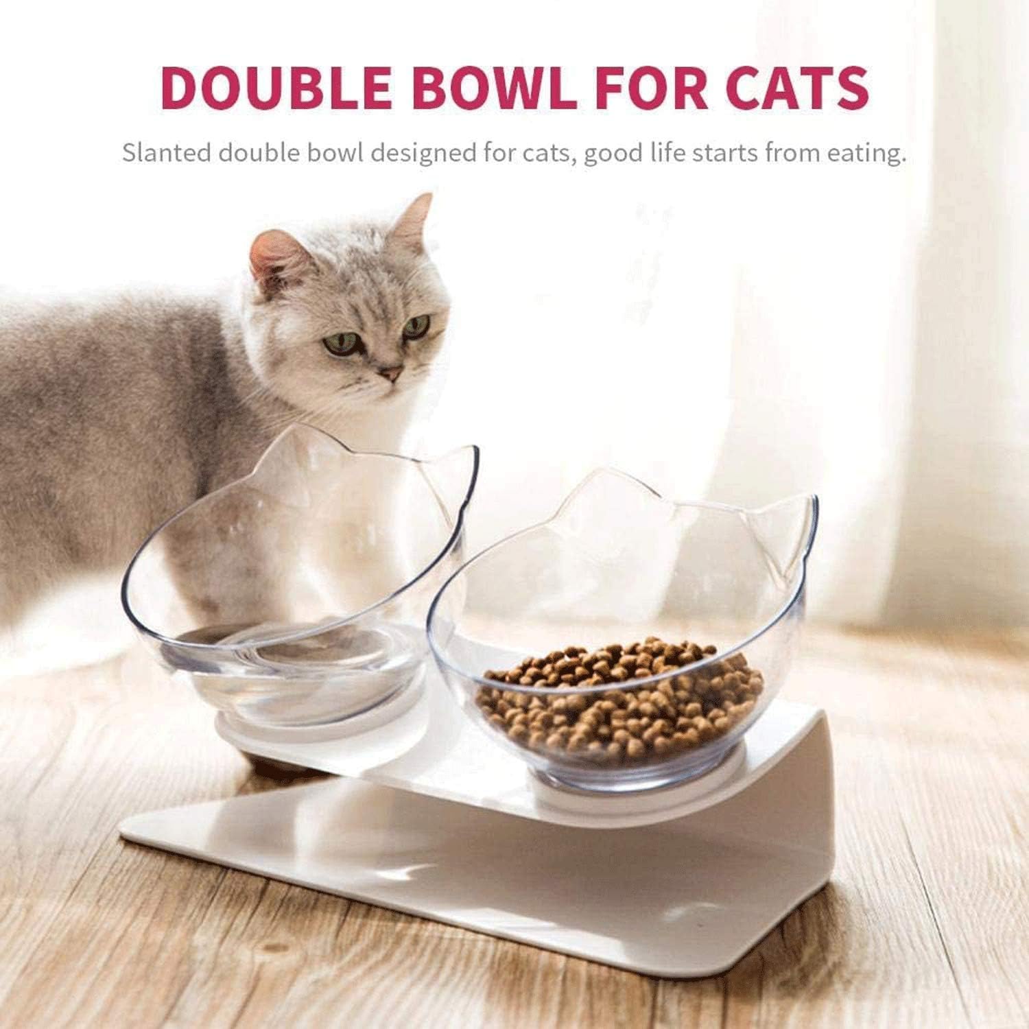 Double Cat Bowl with Raised Stand, Cat Bowl Pet Food Feeder,15° Tilted Anti-Slip Transparent Cat Food and Water Bowl, Protect Pets Cervical Vertebra, Detachable Pet Bowl for Cats and Dogs 9 71RAincVDeL. AC SL1500