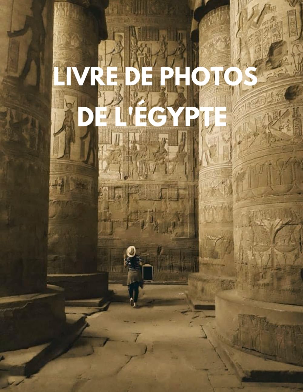 photos de l’Égypte : Voyage Visuel en Haute Définition à Travers les Merveilles de l’Antiquité (100 Photos Haute Qualité)