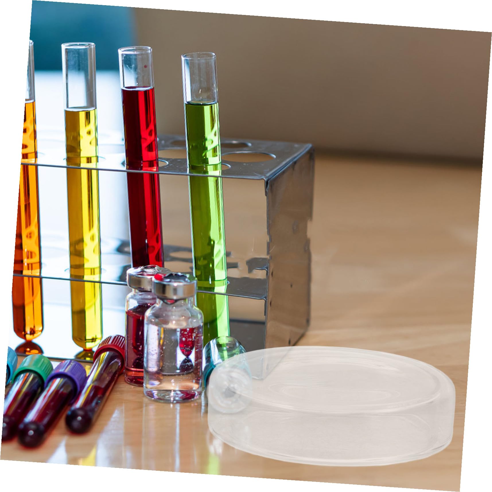 SOIMISS 6 pezzi Piastre Petri in Vetro Borosilicato Spesso con Coperchi Trasparenti per Crescita Cellulare e Esperimenti di Laboratorio Riutilizzabili e Resistenti