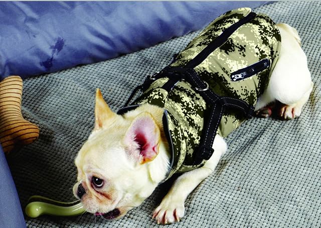 Foto 3 de 7 de BABYDOG Abrigo Chaqueta para Perro Grande, Caliente para Mascotas, Prenda de Vestir Invierno