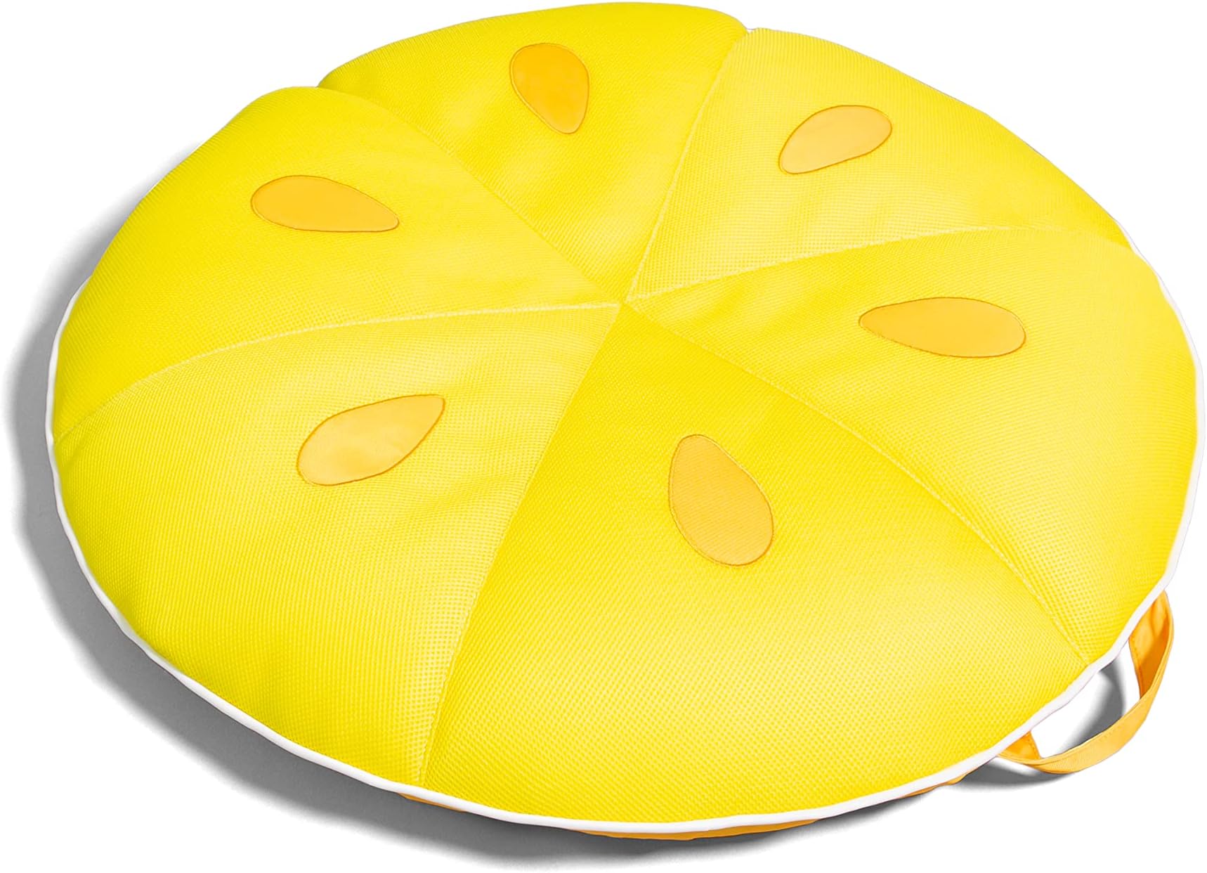 Big Joe Fruit Pool Floats, No Inflation Needed, Quick Draining Fabric, Round Loungers and Pool Noodles