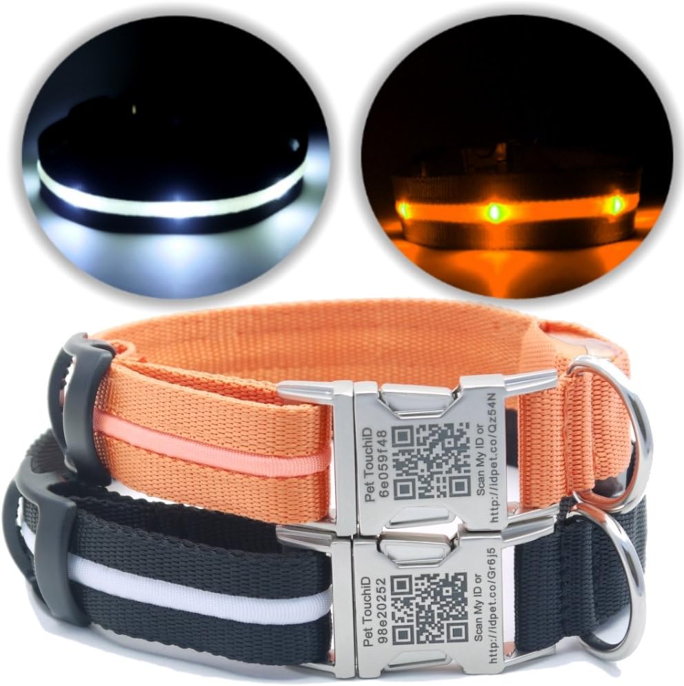PetTouchID – LED Smart Dog Collar, USB Rechargeable, BUILT-IN Wearable Smart Pet Identity Tag, Premium Collar, Metal Buckle (Small (10" – 16" / 25.4cm - 40.6cm), Orange)