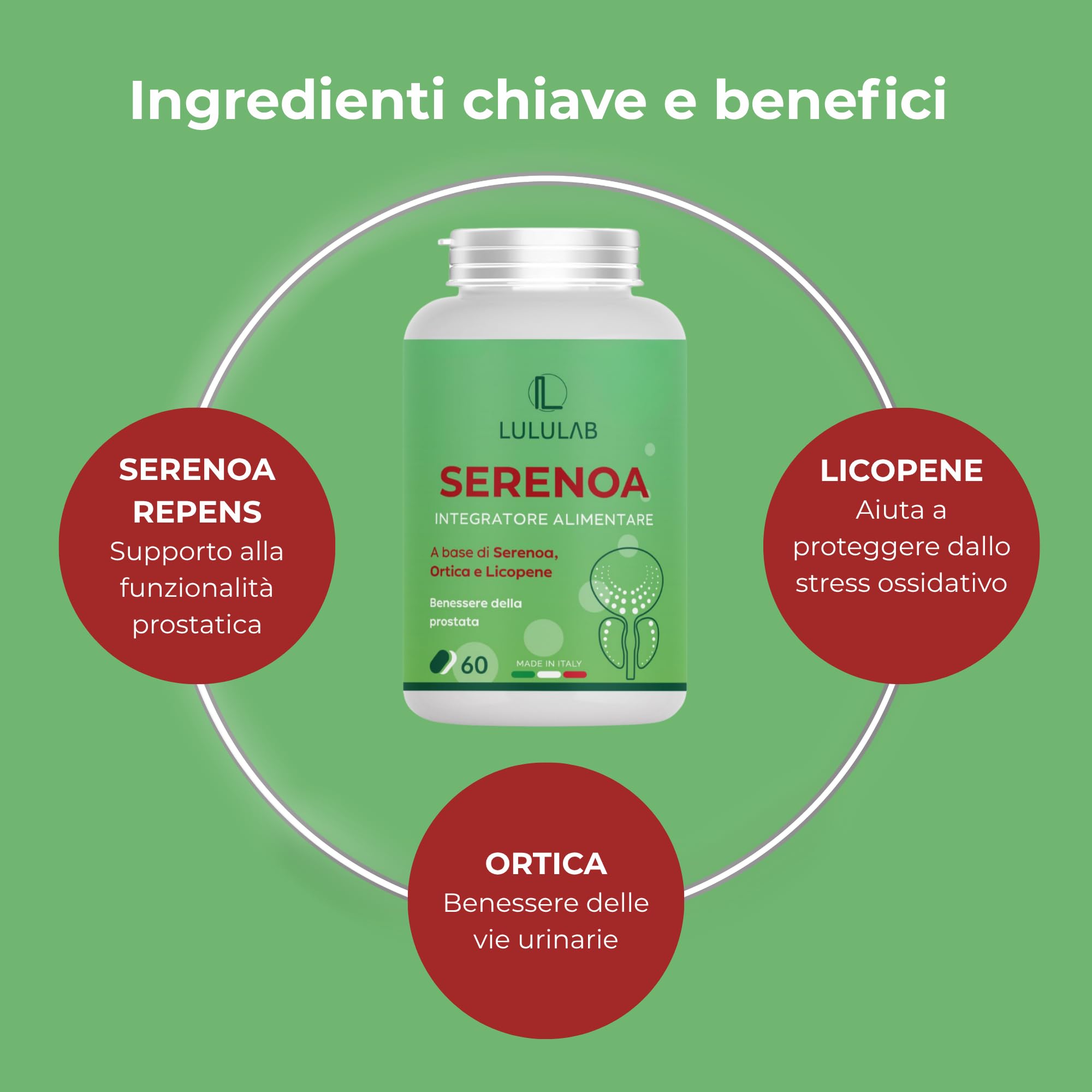 Serrenoa repens (60 Capsule)