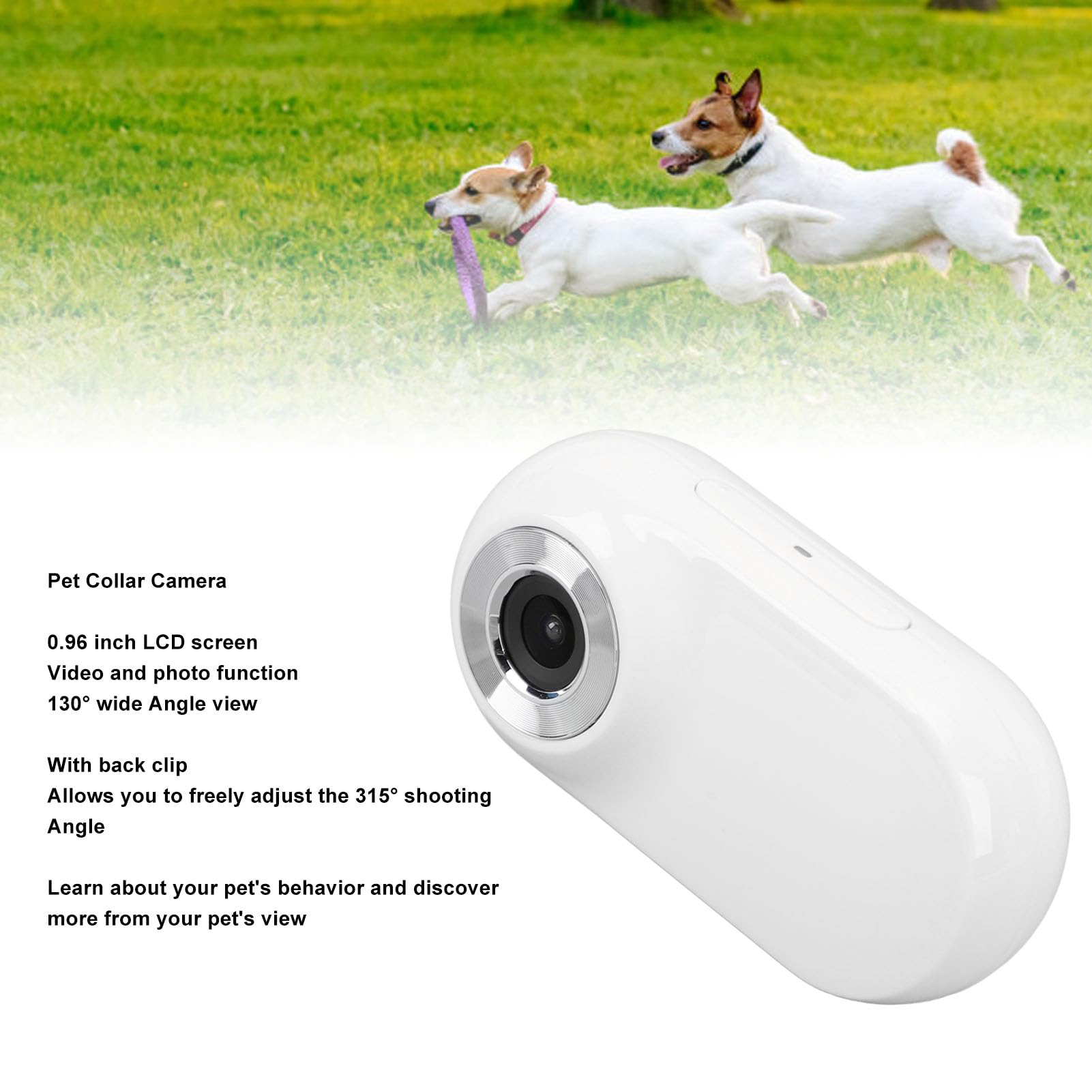 SENECESLI Telecamera per Collare per Gatti 1080P, Telecamera per Animali HD, Mini Telecamera D'azione per Registrazioni Video, Telecamera per Collare per Cani per Animali Domestici, (32GB)
