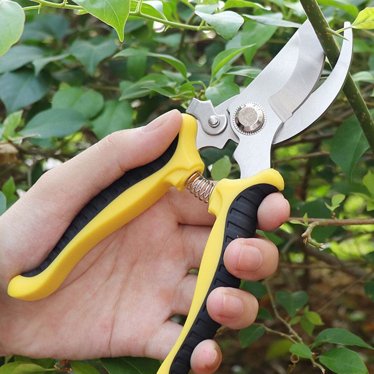 Frutteto Cesoia Potatura Taglio Secateur Ramo di Un Albero Potatore a Mano Taglierina per innesto Bonsai Arbusto Trim Pianta Strumento Professionale Forbice da Giardino
