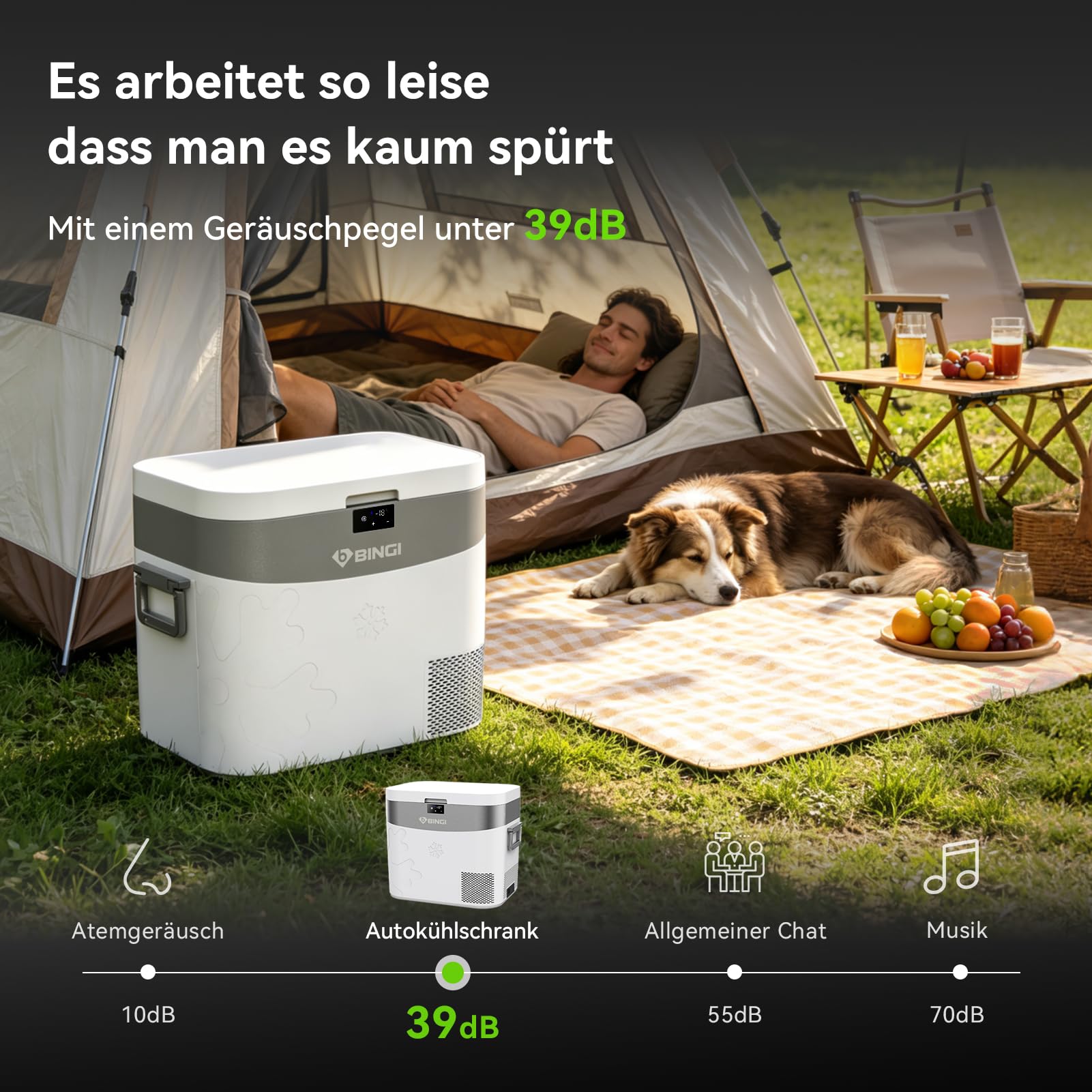 BINGI Kompressor Kühlbox 22L Mini Tragbarer Elektrischer Kühlschrank 12/24V DC Elektrischer Gefrierschrank Tragbarer Gefrierschrank für Auto LKW Picknick Camping und Heimgebrauch
