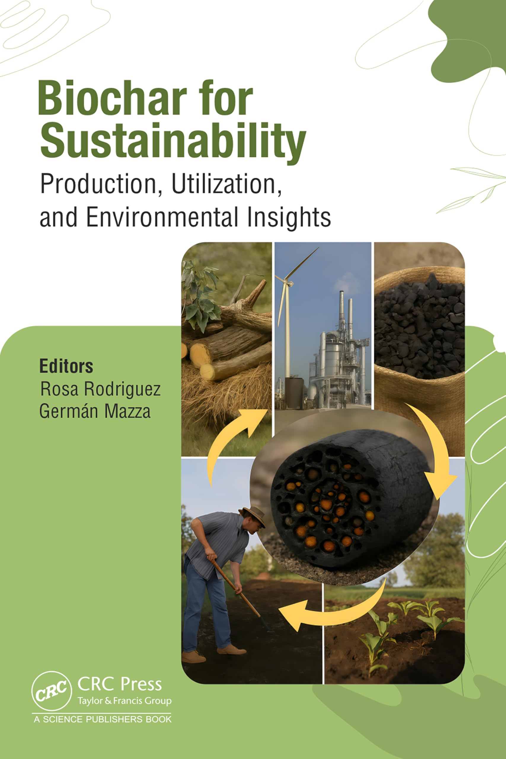 Biochar for Sustainability: Production, Utilization, and Environmental Insights
