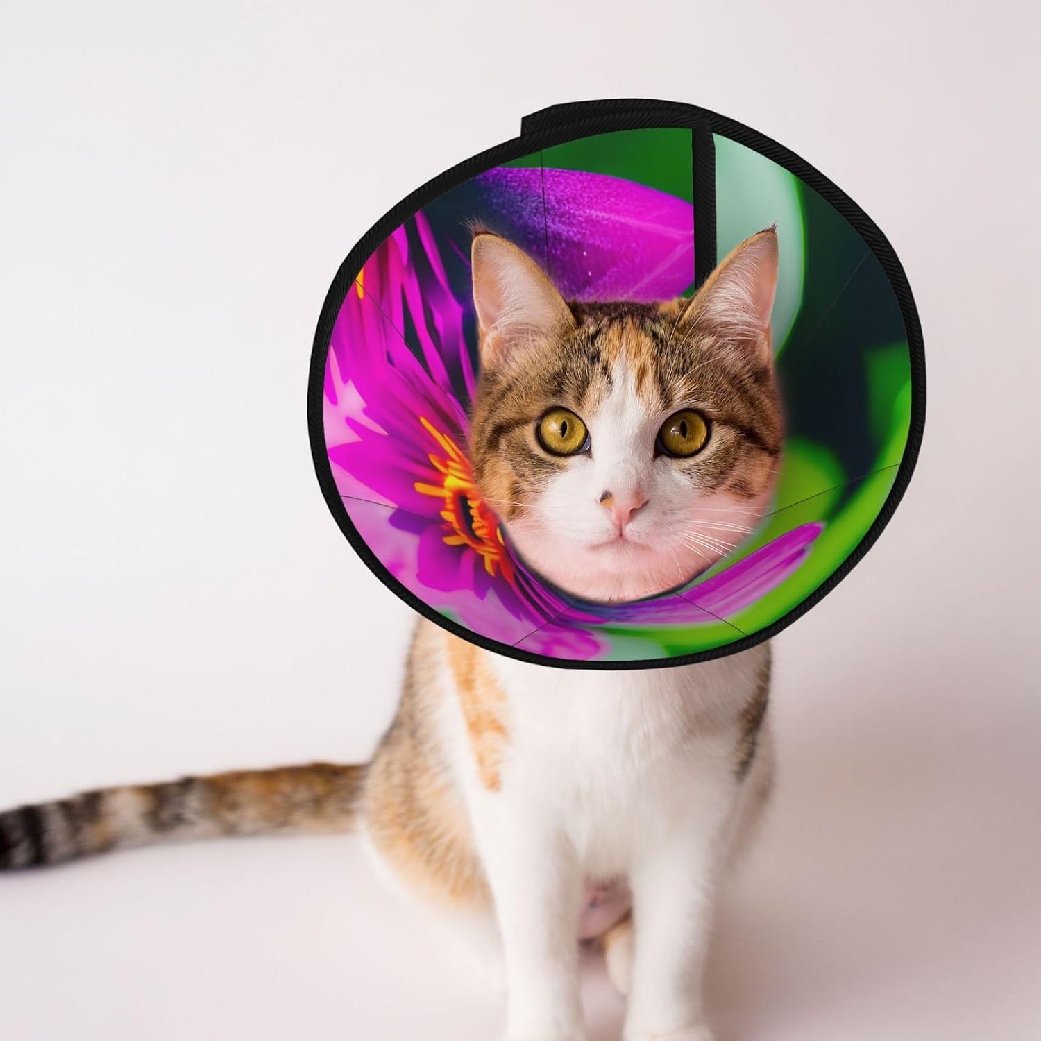 Flower Leaves Purple Red Flower Print Cat Cone Collar, Adjustable Elizabethan Collar, Soft Dog Recovery Collars, for Small Large Cats