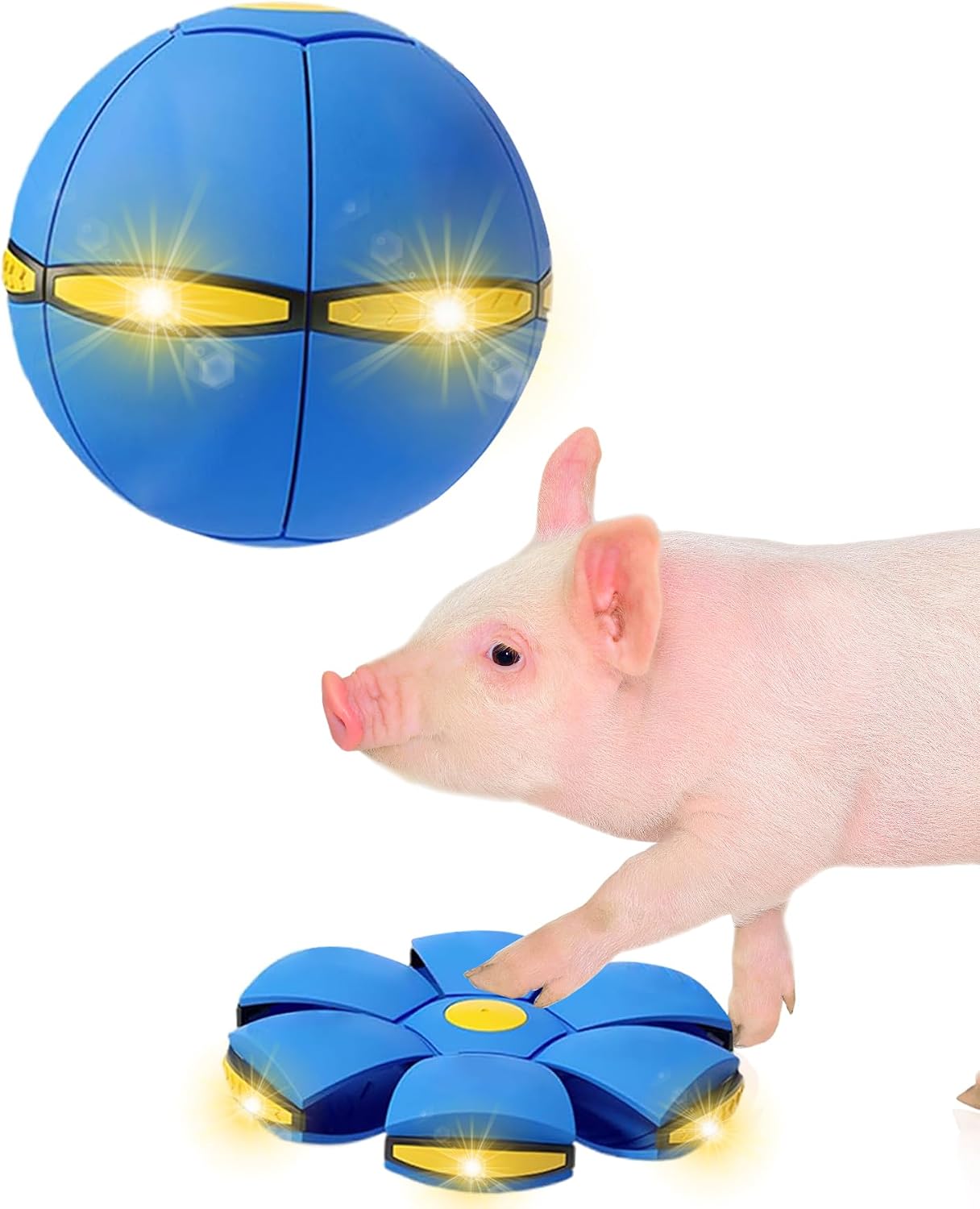 Amazon.com : OOXYG Pig Toy - Toy for Pigs, Interactive Pig Flying ...