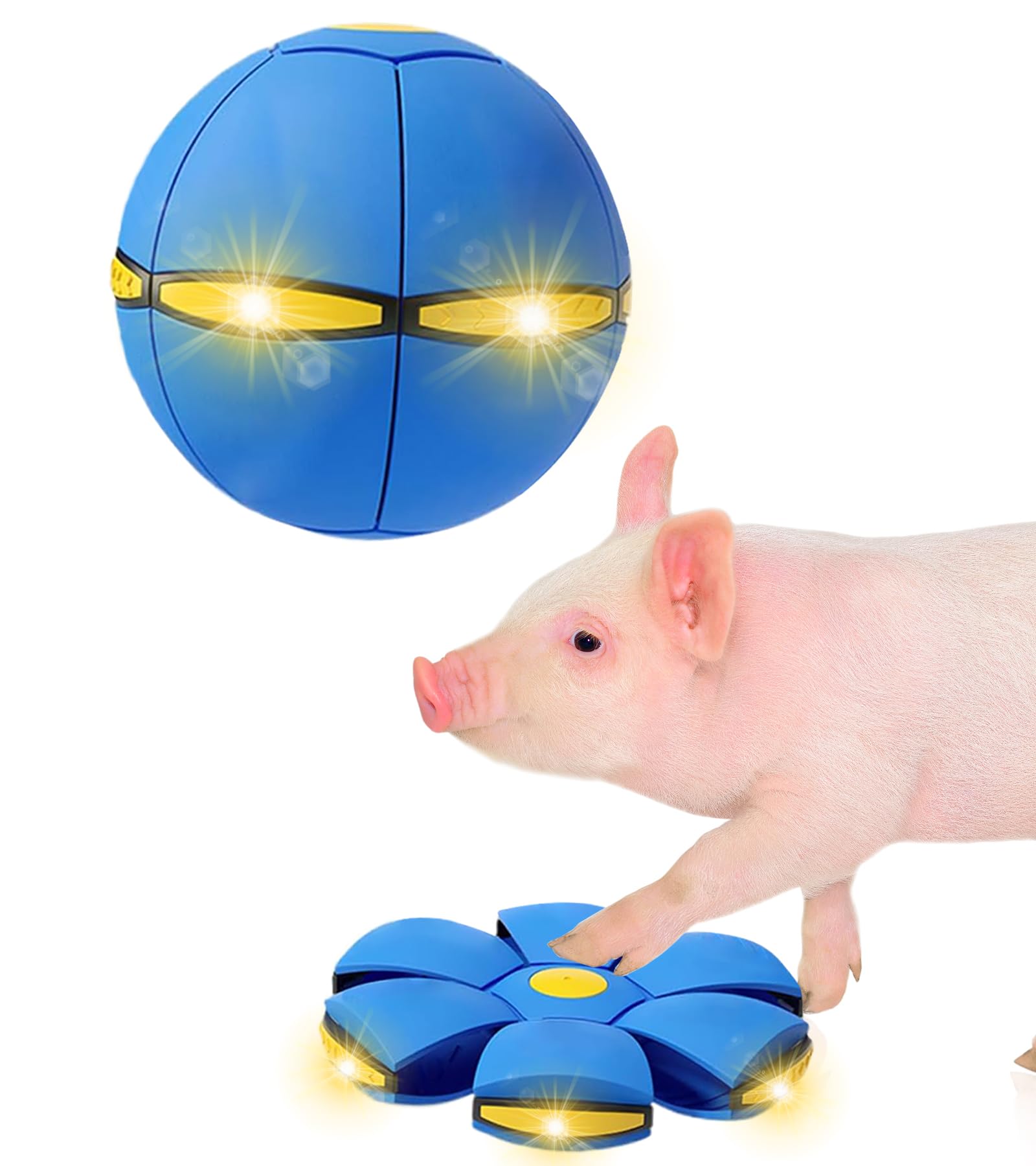 OOXYG Pig Toy - Toy for Pigs, Interactive Pig Flying Saucer Disc Ball Toys with 6 Lights for Mini Pigs, Enrichment Play for Pet Pigs Supplies Enjoyment and Fun