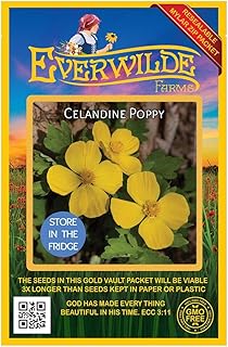 Everwilde Farms - 15 Celandine Poppy Native Wildflower Seeds - Gold Vault Seed Packet