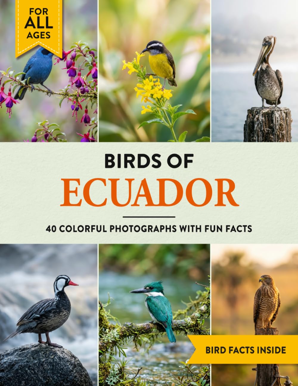 Birds of Ecuador: A Birdwatching Picture Book with Fun Facts and Photography for Kids, Adults & Birders