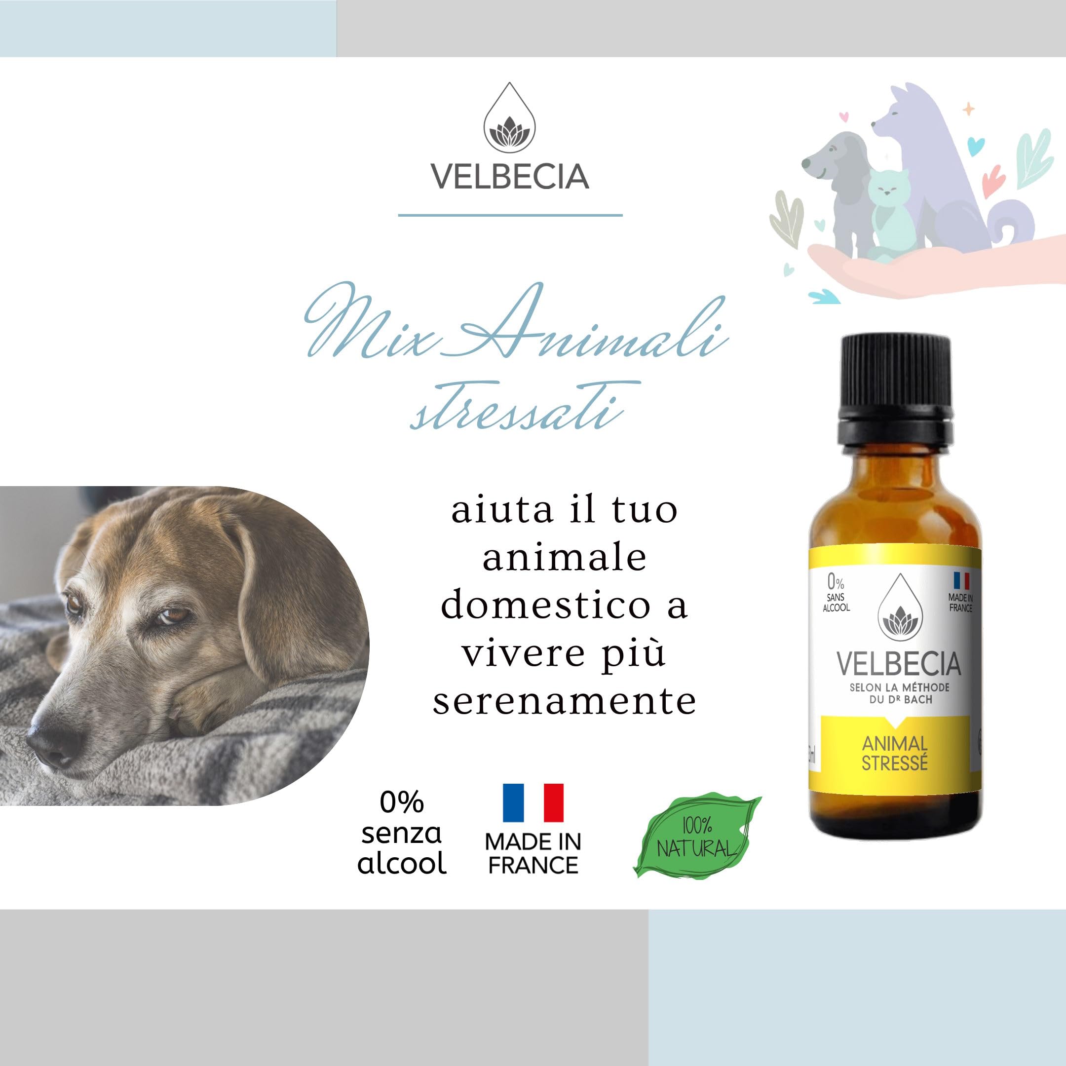 Velbecia® - Fiori Dr Bach Stressato animale 30 ml +1 GRATIS - SENZA ALCOL - Lenisce e calma il tuo animale