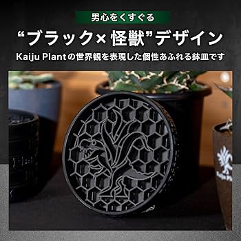 大皿 カレー皿 27cm オーバル エッジライン 陶器 （ 食洗機対応 電子