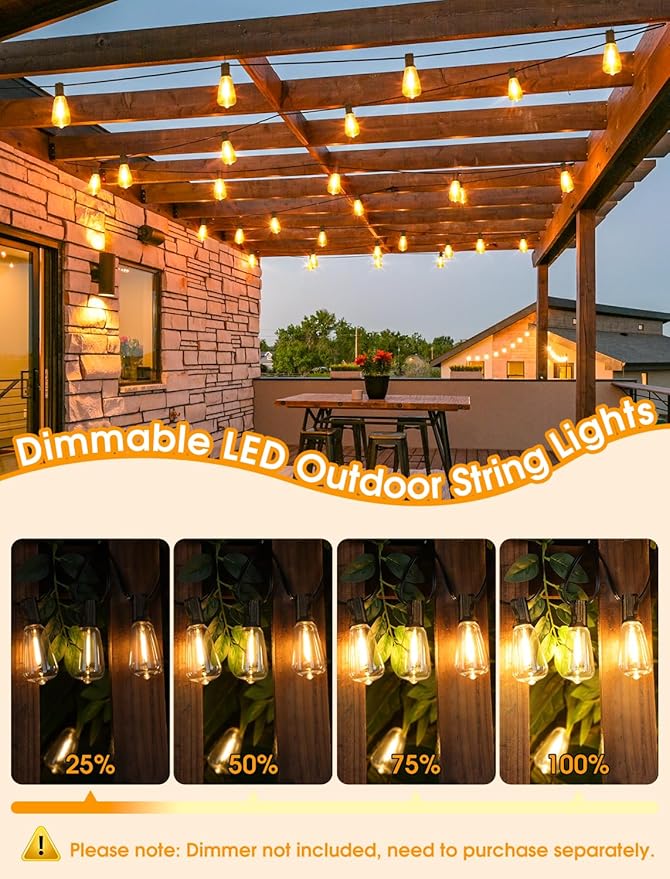 Luces de Cadena Exteriores 25FT LED 10+1 Bombillas ST38 Regulable 2700K Negro miniatura 2