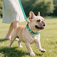 Vista 5 de Joytale - Collar reflectante para perro, collar de nailon transpirable con acolchado de neopreno suave para mascotas, ajustable para perros Verde