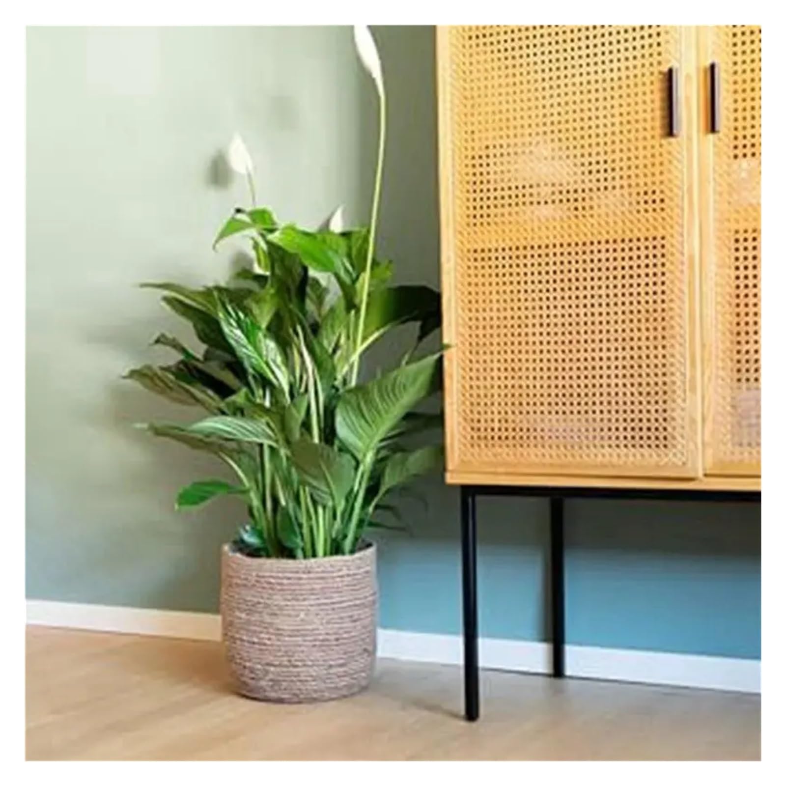 Wiklinowy kosz piknikowy, Woven Rattan Plant Pot Beige 22x23 cm Pack Of 4