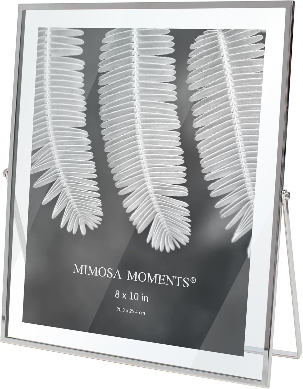 MIMOSA MOMENTS 8x10 Silver Metal Floating Picture Frame, Double Glass Tabletop Display, Modern Minimalist Photo Frame for Home & Office Decor