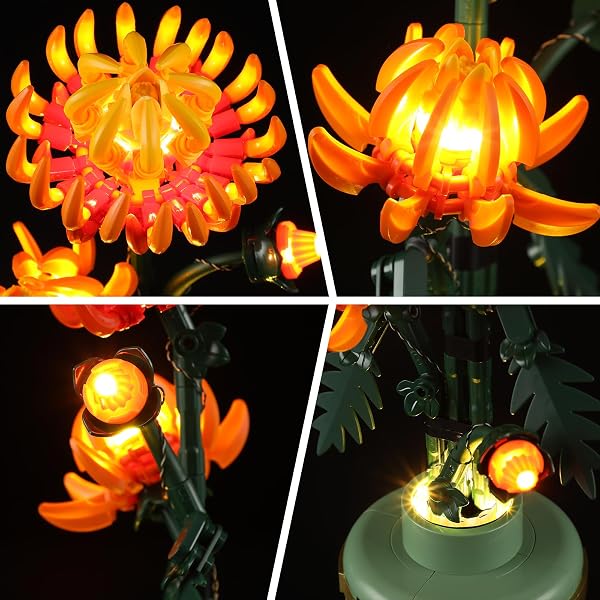 BRIKSMAX LED Beleuchtung für LEGO Chrysantheme 10368,kompatibles Licht Set für Bausteine - Ohne Lego Set, Premium Deko licht für Modellbau für Home Deko, Geschenk für Erwachsene - 3