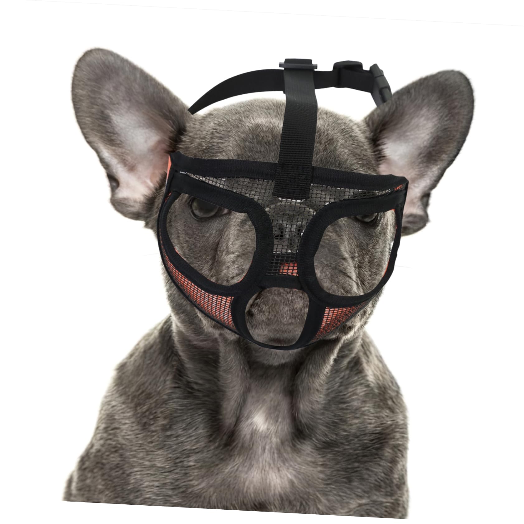 Sosoport 5pièces Muselière Réglable Maille Respirante pour Bulldog Bouche pour Chiens Confort Et Sécurité