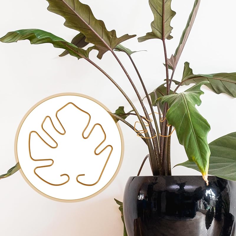 Gosknor 5 darabos Monstera növénytámasz szett, növénytartó karok beltéri növényekhez