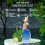 Blue Ocean Scent Car Air Freshener – 90+ Days Long-Lasting Car Perfume - Natural Essential Oil Aromatherapy Diffuser for Car | Rearview Mirror Hanging Car Fragrance with Wooden Lid