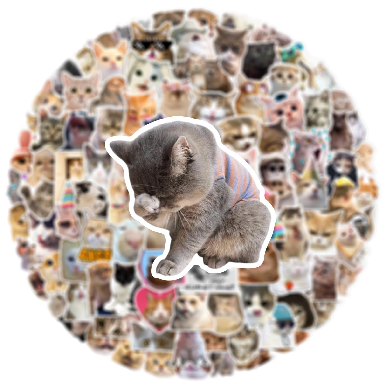 100 Pcs Cat Meme Stickers for Guitar,Bicycle,Laptop,Water Bottles,Skateboard,Computer,Kitten Meme Cute Style Stickers Waterproof Vinyl,Graffiti Decorate for Girls Boys Teens - Image 2