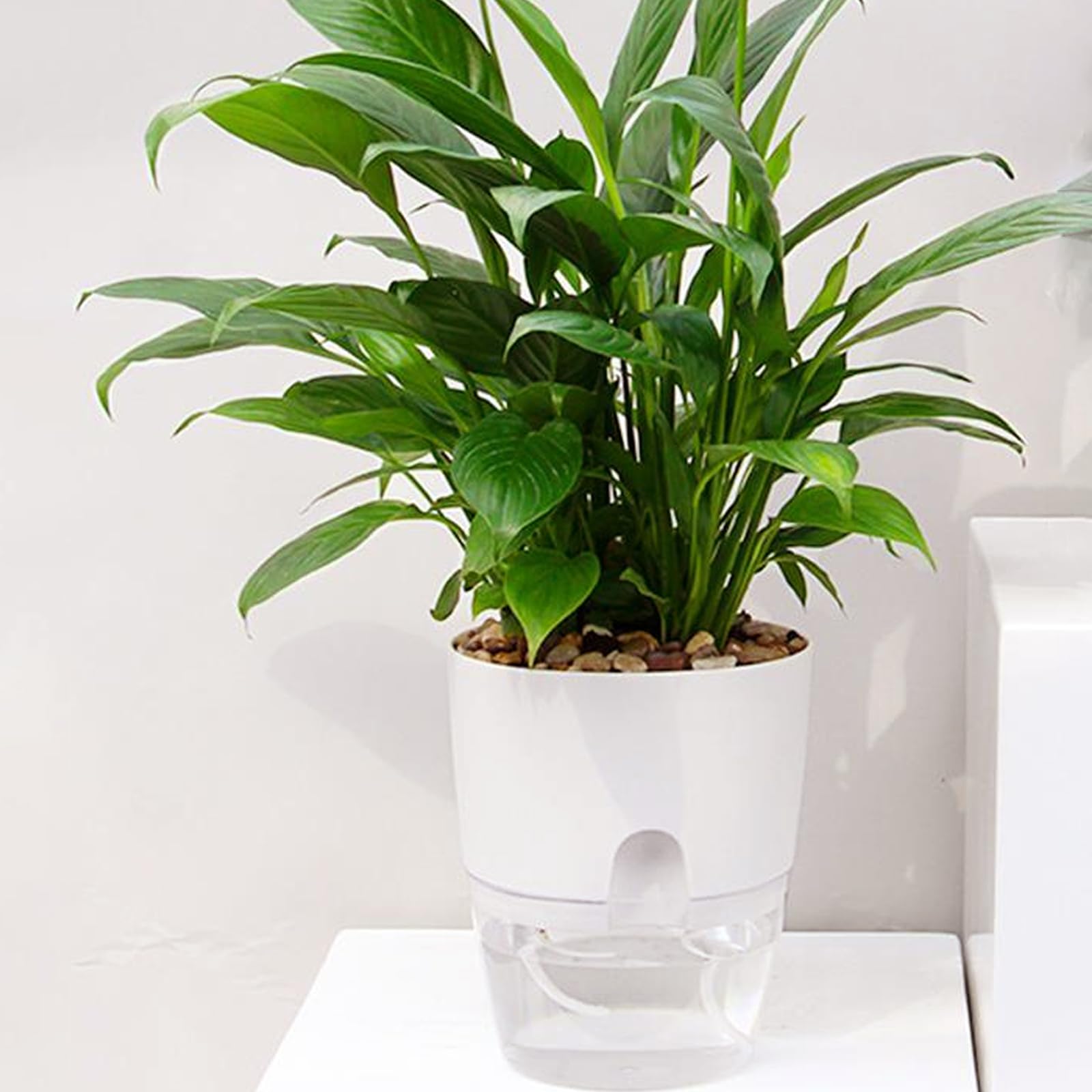 6 vasi autoirriganti, colore bianco, 15 cm, auto-irrigazione, con sistema di irrigazione per piante da interno