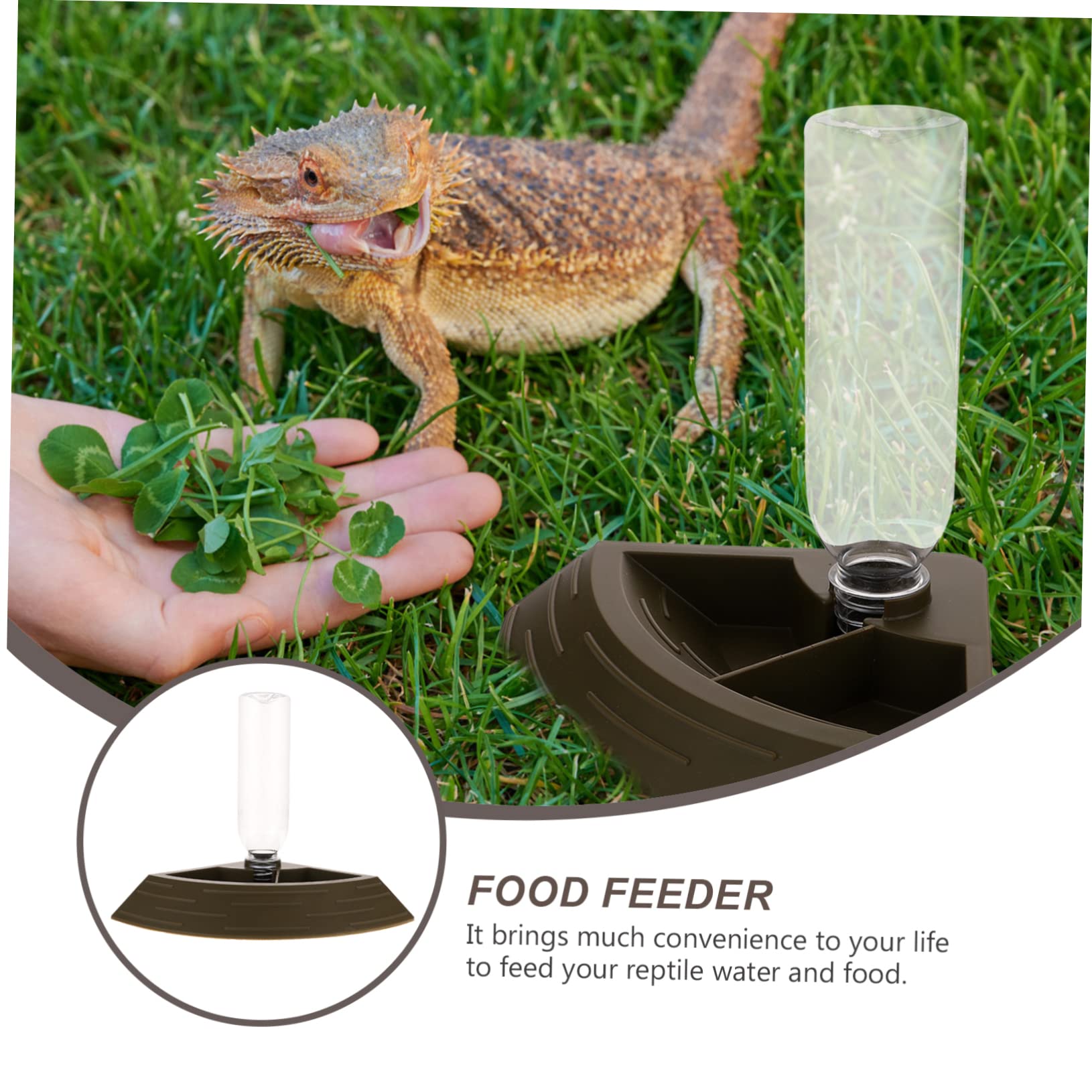Beaupretty 2 Piezas Bebedero para Mascotas Contenedor De Comida para Mascotas Accesorio De Alimentación para Geckos Dispensador De Agua De Tortuga Bol Reptil Gatear Rana Cornuda El Plastico