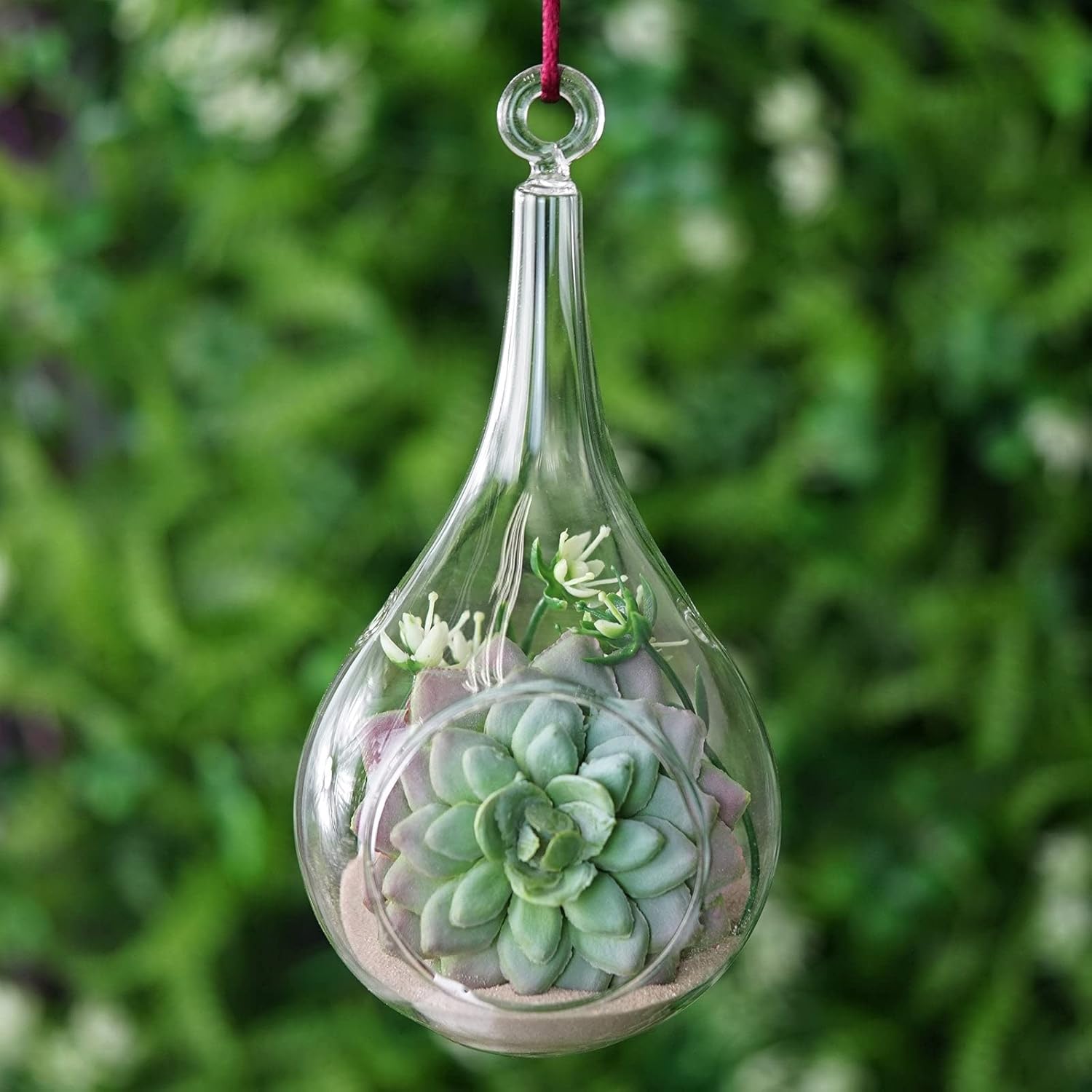 Efavormart 6pcsTeardrop Glass Terrarium Clear Glass Globe Hanging Succulent Glass Planter