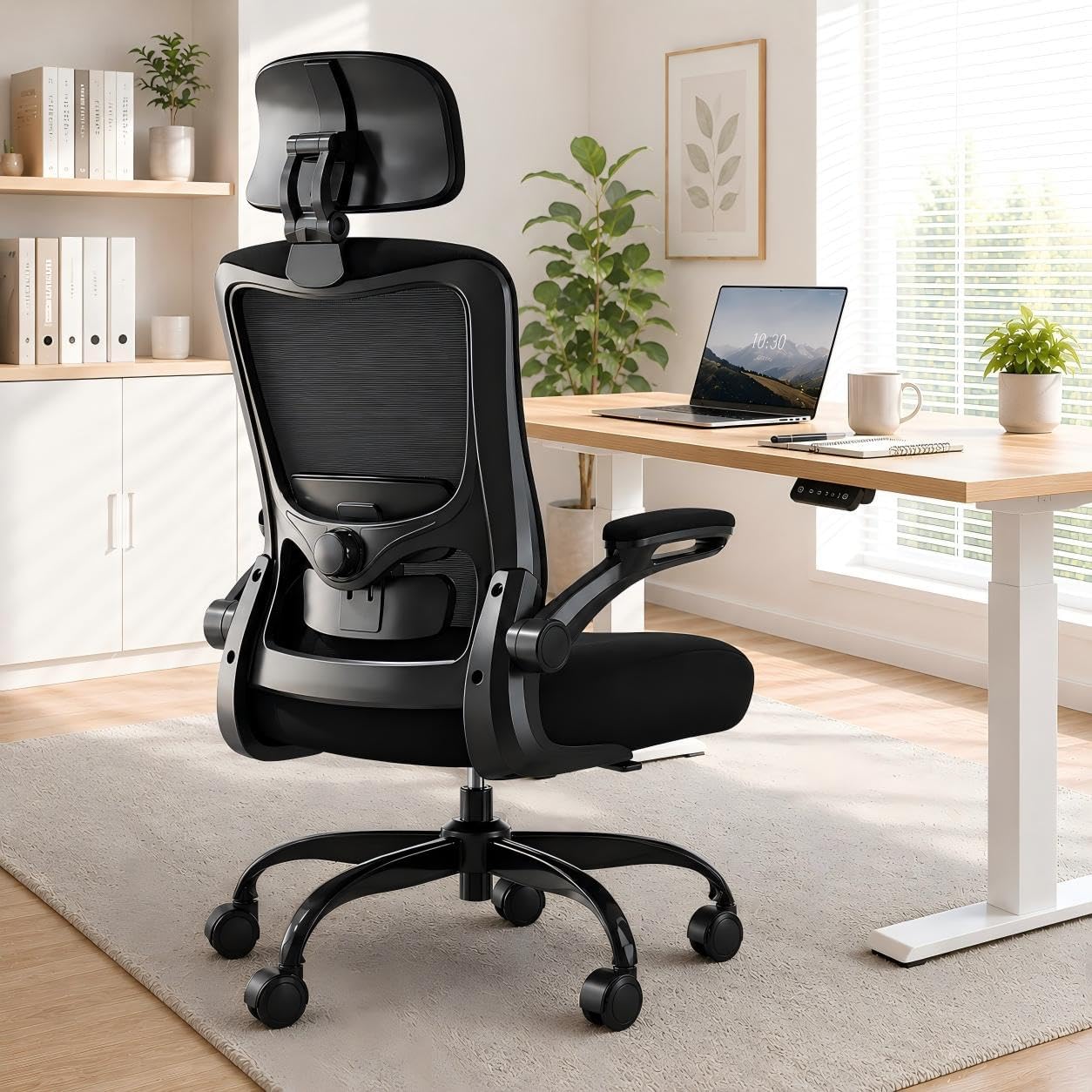 Photo 1 of Zeonsit Ergonomic Office Chair