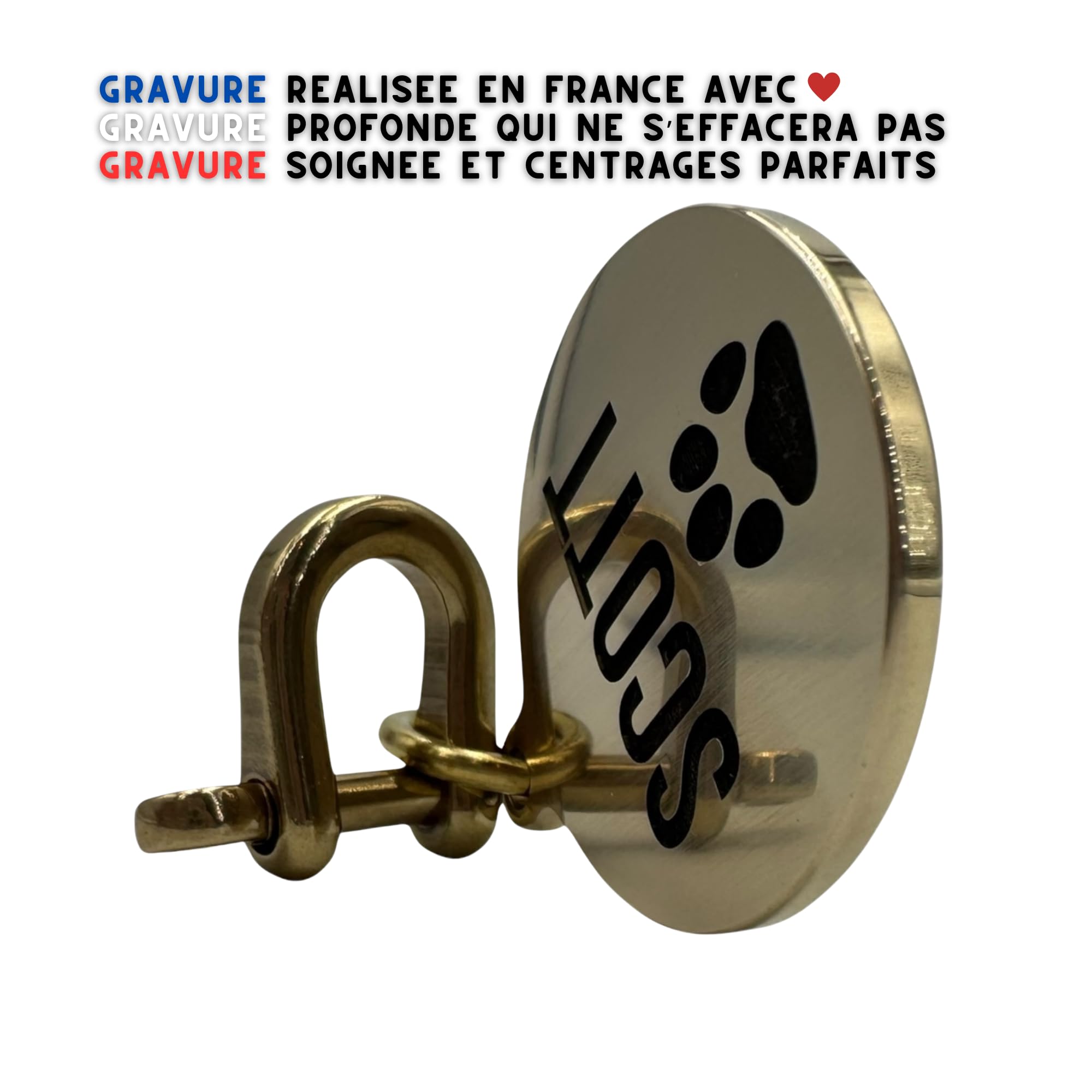 Masterpiece grand chien en laiton massif, médaille gravée, Etiquette d'identification personnalisable, épais médaillon gravé, médaille grande taille (30mm percée)